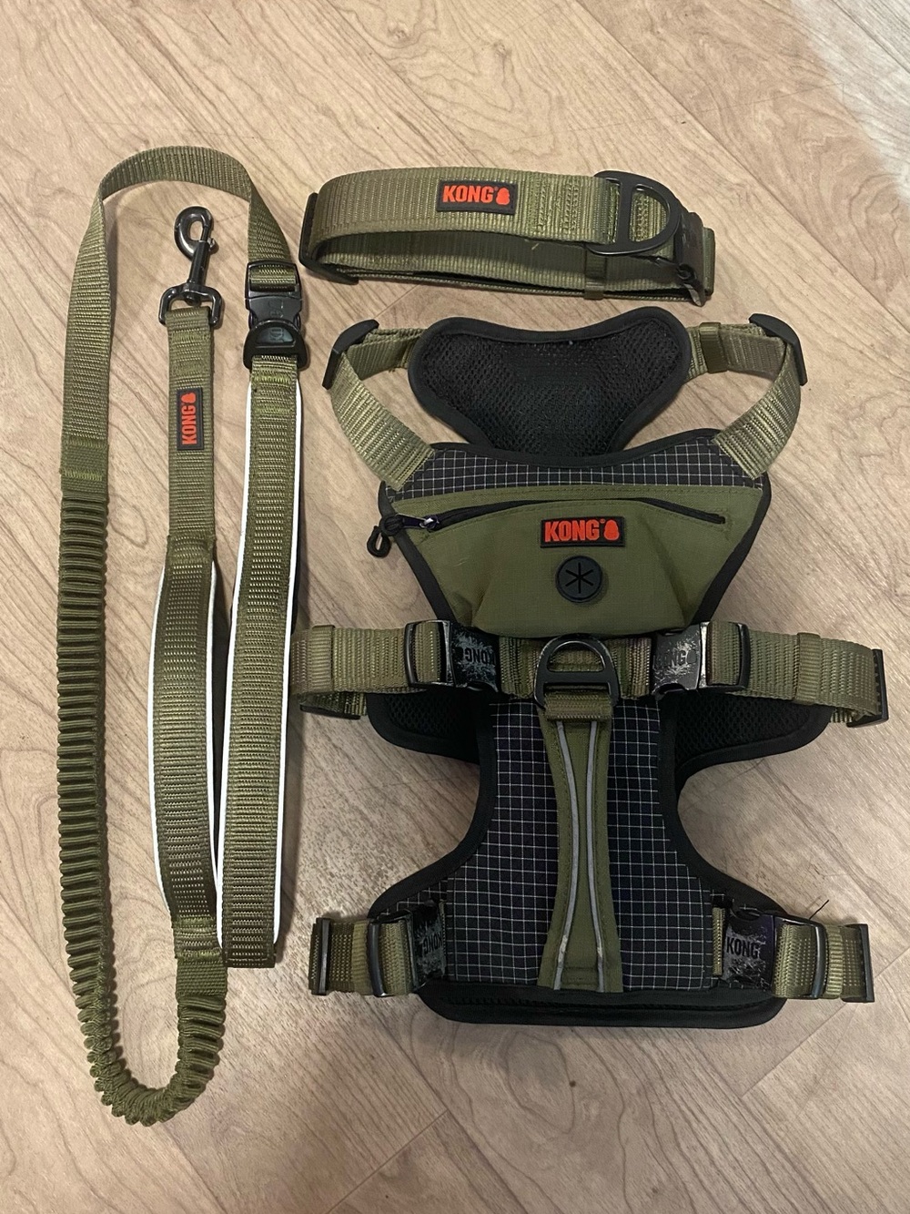 KONG Green DOG Harness , collar and Leash Set